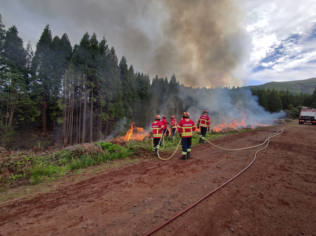 Imagem de destaque: Proteção Civil dos Açores aposta na formação em extinção de incêndios rurais