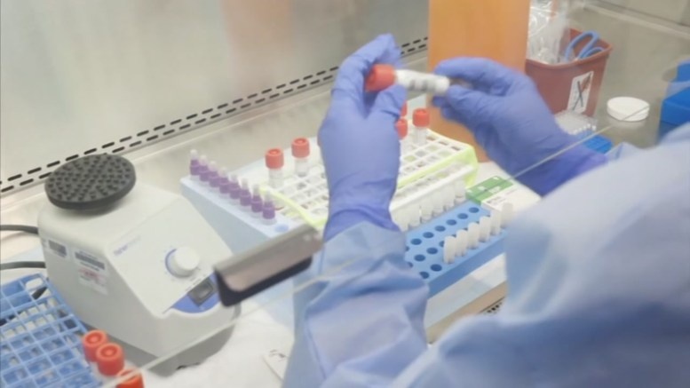 Imagem de destaque: Decreto sobre obrigatoriedade de testes prévios ao embarque publicado em Diário da República